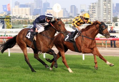 Manapine, inside rail (Image: Slickpix)