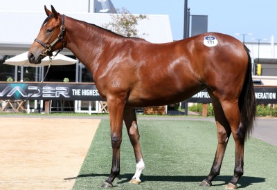2016 Wandjina / Redeeming Lass