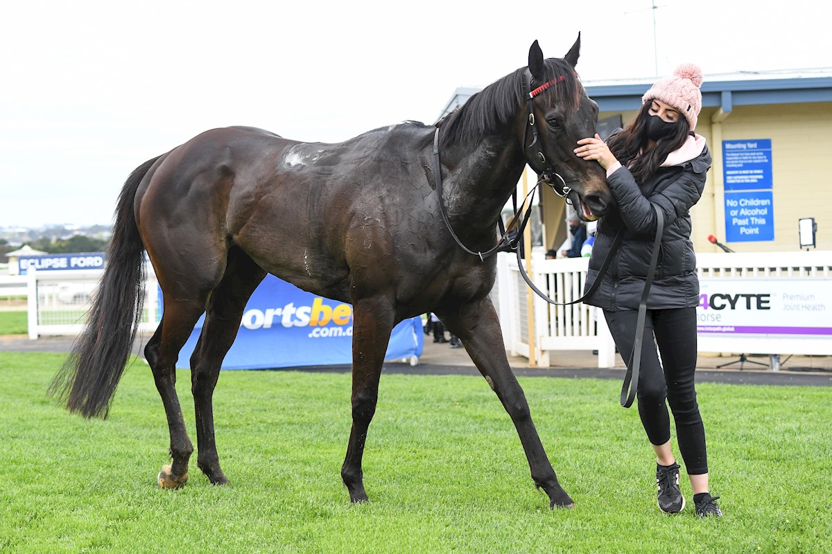 Emerald Crown after winning the Milk That Tastes Like Real Milk BM58 Handicap at Sportsbet-Ballarat Racecourse on October 09, 2020 in Ballarat, Australia. (Pat Scala/Racing Photos)