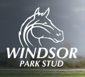 Windsor Park Logo