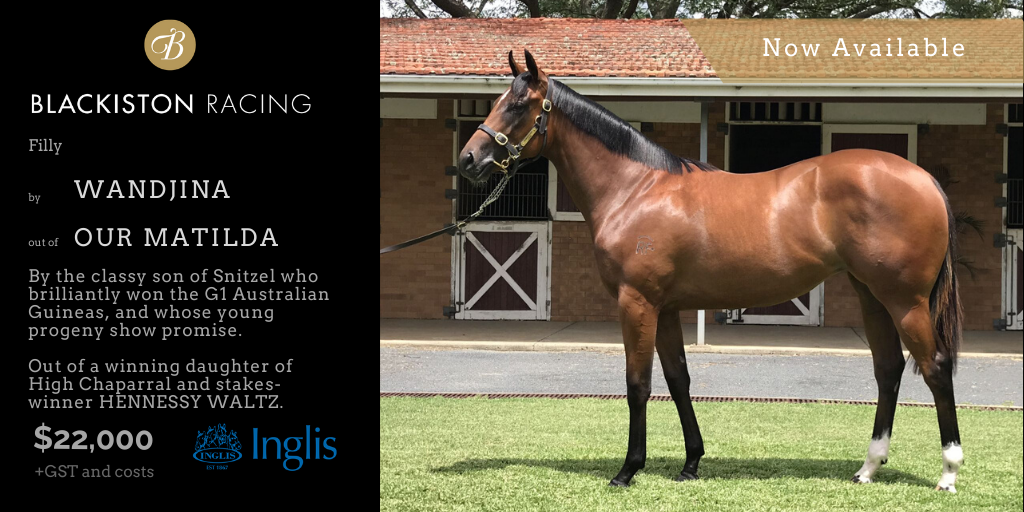 2018 Our Matilda Media