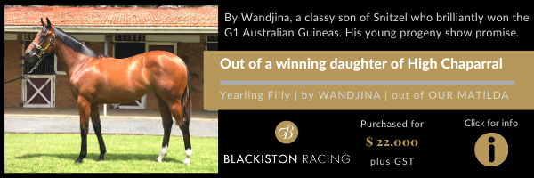 Wandjina