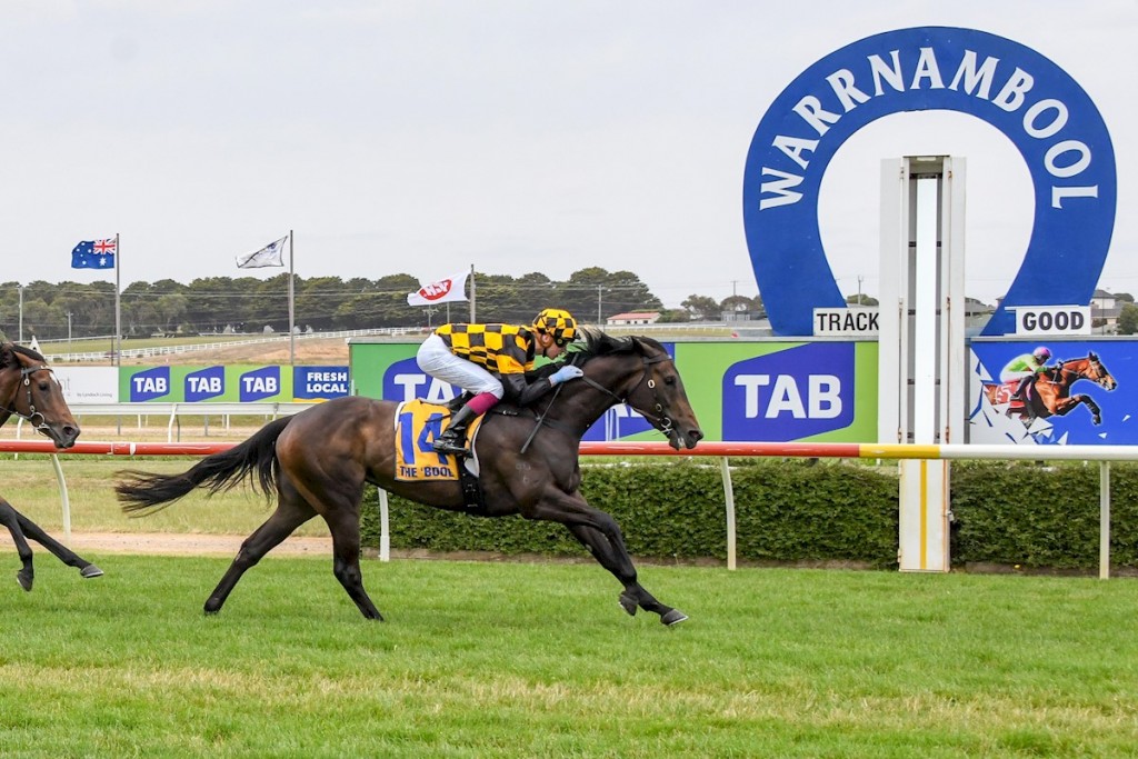 Under My Spell wins the Gillear Lime Fillies & Mares Maiden Plate at Warrnambool. (Alice Laidlaw/Racing Photos)