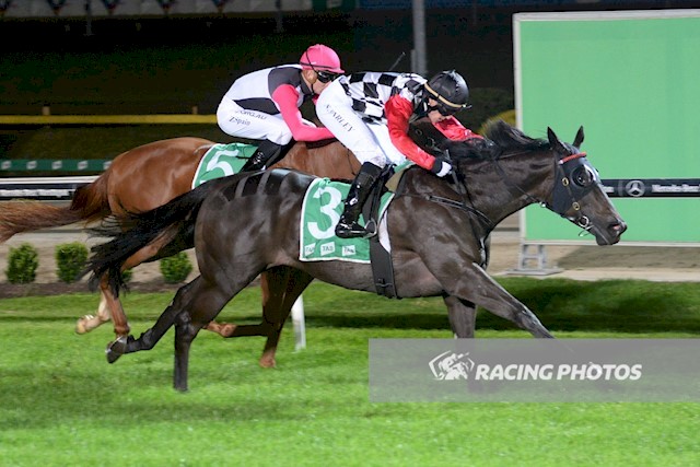 Inkerman Road winning at Cranbourne. Image courtesy of Racing Photos.