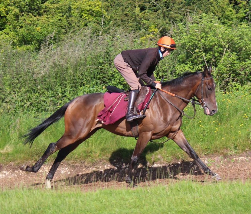 Paddy Pilley