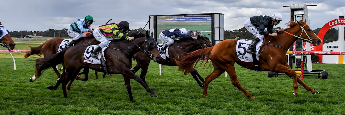 Pretty Mama (NZ) ridden by Luke Currie (black cap) storms home for second in The Resimax Group Plate at Ladbrokes Park Hillside on August 23, 2017. (Alice Laidlaw / Racing Photos)