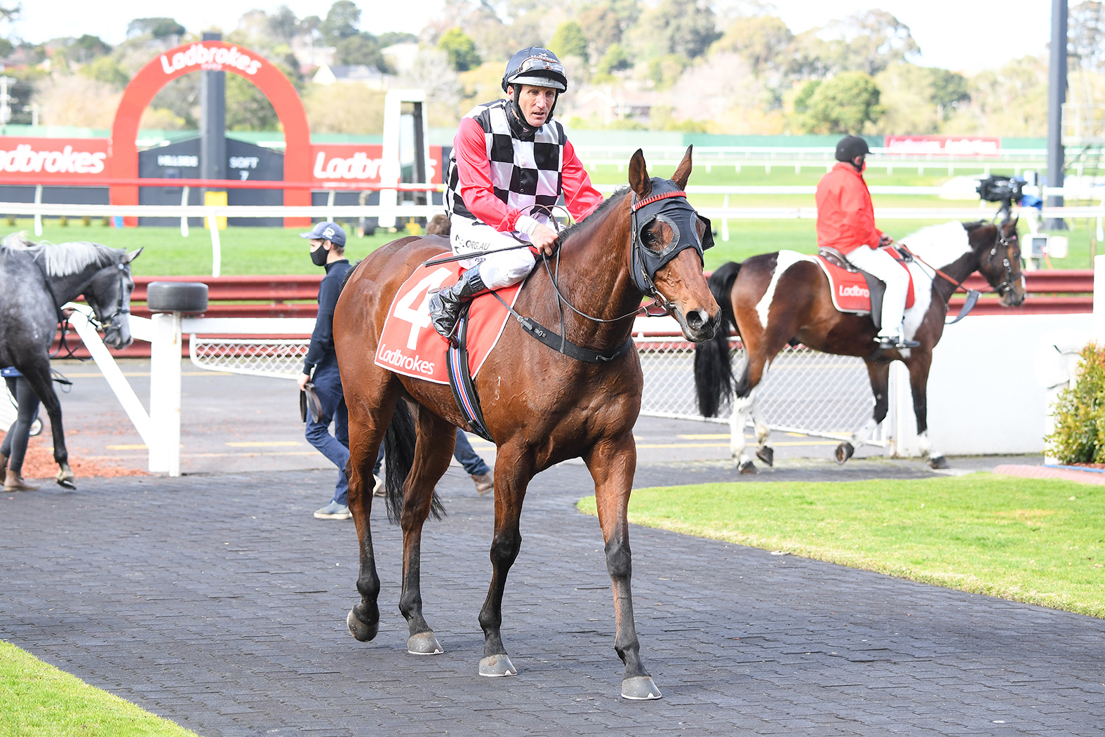 Protection Money ridden by Damien Oliver returns to the mounting yard after winning  the Ladbrokes Back Yourself Hcp at Ladbrokes Park Hillside on August 12, 2020. (Pat Scala/Racing Photos)