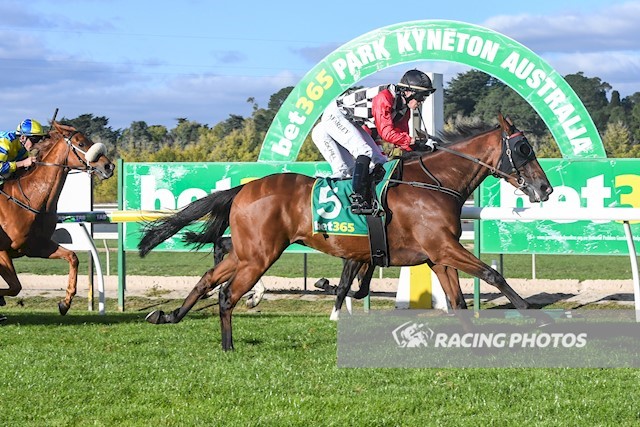 Protection Money winning the Woodend Cup at Kyneton (Picture: Racing Photos)