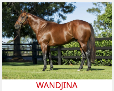 Wandjina - Newgate