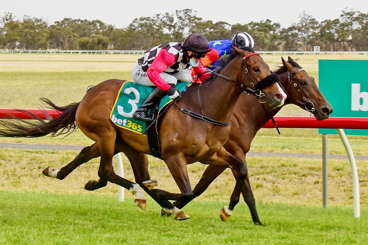 Dreams And Schemes ridden by Neil Farley wins the Pepper Hill Lodge BM64 Handicap at Donald Racecourse on November 15, 2020 in Donald, Australia. (Brendan McCarthy/Racing Photos)