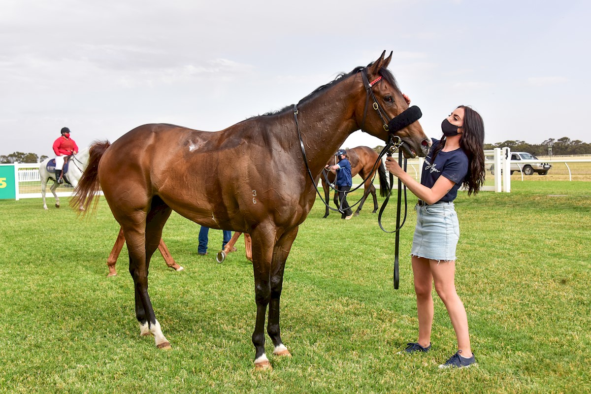 Dreams And Schemes  after winning the Pepper Hill Lodge BM64 Handicap at Donald Racecourse on November 15, 2020 in Donald, Australia. (Brendan McCarthy/Racing Photos)
