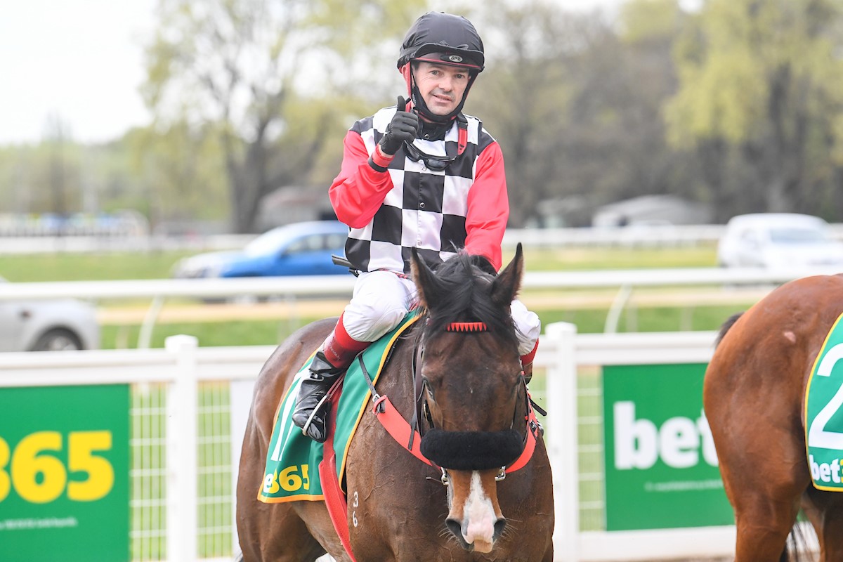 Dean Yendall returns to the mounting yard aboard Dreams And Schemes after winning the bet365 Racing Refunds C,G&E BM64 Handicap at Kyneton Racecourse on October 04, 2020 in Kyneton, Australia. (Natasha Morello/Racing Photos)